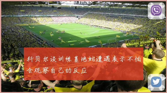 科贝尔谈训练基地蛇遭遇表示不怕会观察自己的反应