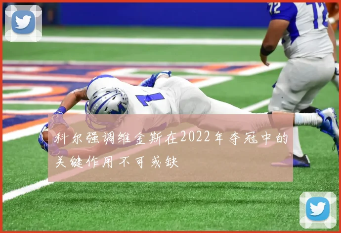 科尔强调维金斯在2022年夺冠中的关键作用不可或缺