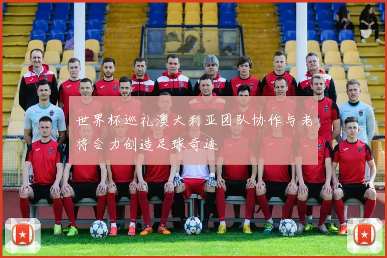 世界杯巡礼澳大利亚团队协作与老将合力创造足球奇迹