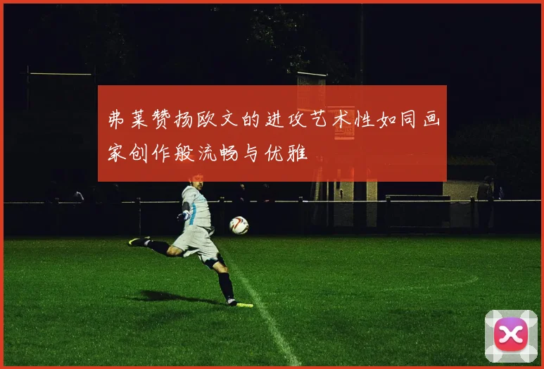 弗莱赞扬欧文的进攻艺术性如同画家创作般流畅与优雅